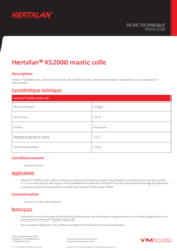 FT - Hertalan KS2000 mastic colle